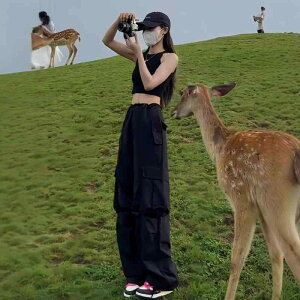 pc fB[X t AEghA oRpc J[Spc  nCEGXg JWA X|[c  e[p[hpc ubN J[L sNn