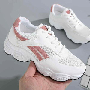 Xj[J[ fB[X ʊwC jOV[Y bV ʋC ^C [Jbg RC JWA  sN  t(x2)