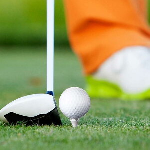 SteB[ St eB[ vX`bN Stpi X|[c Kp ϋv