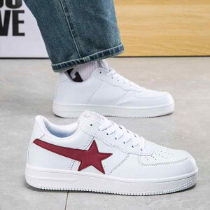 Xj[J[ fB[X Y [Jbg JWA ؍ t@bV yA wC y    v ig ʊw ^C