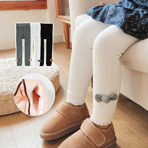 MX LbY ̎q N  Xpbc q 9 ѕt n H~ 킢 JWAX^C   O[ 95cm 100cm 110cm(x2)