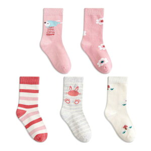 C LbY ̎q q \bNX sN {[_[ L tH ʊw R 킢