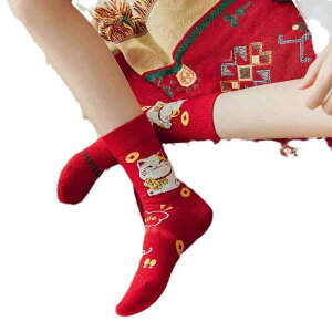 C fB[X Y LbY H~ NX}X \bNX     g ʊw ig(x20)