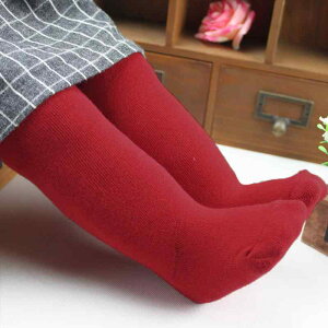 q ^CcEMX ̎q xr[  N n Rbg H~ 킢 vZX X|[c ig ʉ ʊw h