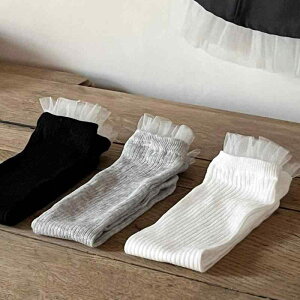 C LbY ̎q q  nC\bNX Rbg ԕ t t 킢    O[