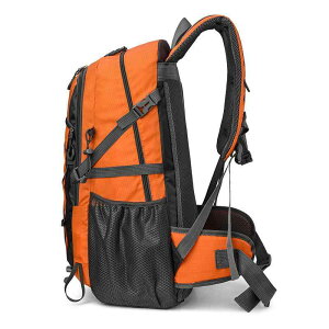 bNTbN Y fB[X e h ϖՐ iC obNpbN 36`55L oR s AEghA  y ubN IW O[ u[ n