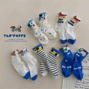 C LbY t  ʋC bV j̎q xr[  J[gD[  ~h Rbg 5Zbg XgCv hbg Aj} 킢 ct ۈ牀