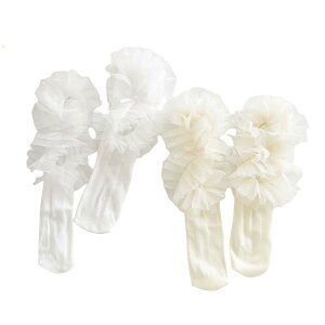 C K[Y q j[nC\bNX  ʋC [X t n  x[W 킢