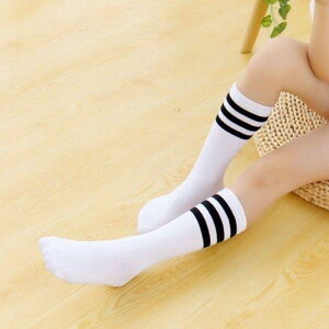 C LbY  XN[\bNX qp u҂ nC\bNX ̎q j̎q ʋC z C t H~