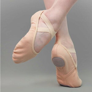 _XV[Y fB[X oGV[Y L _炩C Kp K y  ϖ Ռz sNn R[q[F L