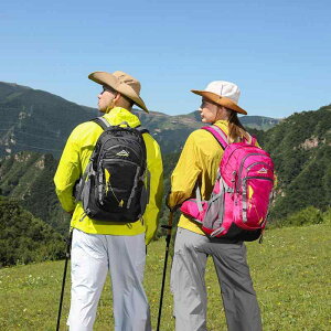 bNTbN fB[X Y e @\ h y oRpbN 40L  ʋC Sy AEghA sp obNpbN iC  sNn u[ O[n