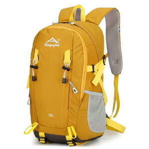 bNTbN fB[X Y oRp 30L y   ʋC ϖՐ AEghA s k TCN O[ ubN IW p[v CG[