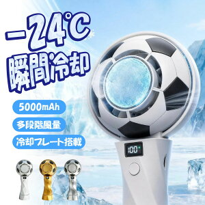 ��p�n���f�B�t�@�� �����̗�p�v���[�g���� �u�ԗ�p 5000mAh��e�� 6�i�K���ʒ��� LED�f�B�X�v���C USB Type-C�[�d ��� �莝����@ �g�ѐ�@