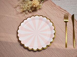 M  ĝ 100 [] Ɩp e ϐ ϖ 킢  v[g a l̃p[eB[CxgȂǂ 23cmyEzsz