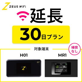 【延長専用】短期レンタルWiFi 30日プラン オプションなし