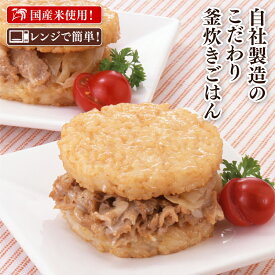 国産米使用 ライスバーガー 豚生姜 260g（2個）×5袋 計10個 冷凍米飯 冷凍食品 レンジで簡単 夜食 手軽