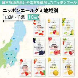 ニッポンエール グミ 地域別 （山形～千葉） 10種 国産果汁 使用 セット ギフト お菓子 おやつ 果汁グミ 国産 果汁 山形 福島 茨城 栃木 群馬 埼玉 千葉 さくらんぼ 高徳りんご ラ・フランス 月山ぶどう あかつき桃 いばらキッス スカイベリー やよいひめ苺 彩玉梨 豊水梨