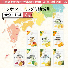 ニッポンエール グミ 地域別 （大分～沖縄） 8種 国産果汁 使用 セット ギフト お菓子 おやつ 果汁グミ 国産 果汁 大分 宮崎 鹿児島 沖縄