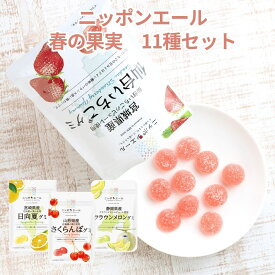 ニッポンエール グミ 春の果実セット11種 国産果汁 使用 セット ギフト お菓子 おやつ スナック 果汁グミ 国産 果汁 さくらんぼ 湘南ゴールド メロン 南高梅 日向夏 すいか 大将季 紅甘夏 ゆめほっぺ 仙台いちご うめ 詰合せ