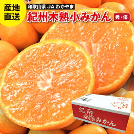 和歌山県 JAわかやま 紀州木熟小みかん 3kg / 5kg / 10kg 秀 優 S 2S 産地直送 お届け時期指定可 12月上旬〜下旬お届け のし対応