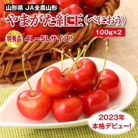 山形県 やまがた紅王 プレミアム 100g×2 特秀品 4L～5L サイズ 6月下旬～7月上旬お届け さくらんぼ ギフト 国産 JA全農山形 赤い宝石 クール 冷蔵配送 フルーツ 果物 サクランボ 紅王