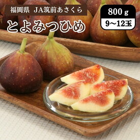福岡県 とよみつひめ 800g（9～12玉） JA筑前あさくら 8月中旬～9月上旬