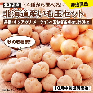 kCY e4kg 4킩2Iׂ v8kg ʃZbg 10{o׊Jn j L^AJ [NC ʂ˂  Mtg { H o l A\[g Zbg Ⴊ ^}lM |eg kC