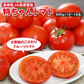 長崎県産 特ちゃんトマト 900g 5月中旬～下旬発送 JA島原雲仙 トマト フルーツトマト