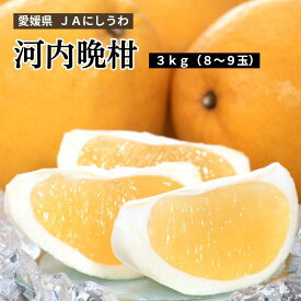 愛媛県 JAにしうわ 河内晩柑 3kg 8～9玉 5月中旬～下旬お届け 柑橘 爽やか 甘い ギフト