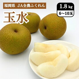 福岡県 JA全農ふくれん 玉水（ぎょくすい）1.8kg（6～10玉） 7月下旬発送開始