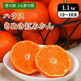 香川県 JA香川県 ハウスさぬき紅みかん 1.1kg（12～18玉） 7月上旬発送開始
