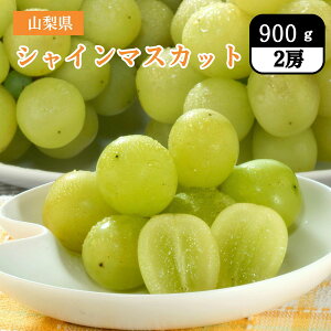 VC}XJbg 900g 2[ G R 9{`9{͂ VC }XJbg Ȃ lC Ԃǂ  Mtg Y t[c ʕ JA S_ uhE Mtg v[g 蕨