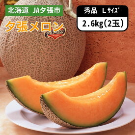 北海道 JA夕張市 夕張メロン 夕張メロン 秀品 Lサイズ 2玉　6月下旬発送開始