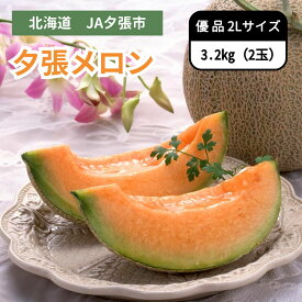 北海道 JA夕張市 夕張メロン 優品 2Lサイズ 2玉　6月下旬発送開始