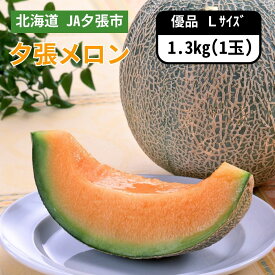 北海道 JA夕張市 夕張メロン 優品 Lサイズ 1玉　6月下旬発送開始