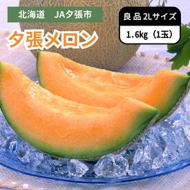 北海道 JA夕張市 夕張メロン 良品 2Lサイズ 1玉　6月下旬発送開始