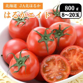 北海道 JA北はるか はるかエイト（フルーツトマト） 800g（8～20玉）7月中旬発送開始