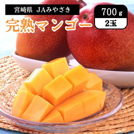 宮崎県 JAみやざき 完熟マンゴー 700g（2玉） 6月中旬発送開始