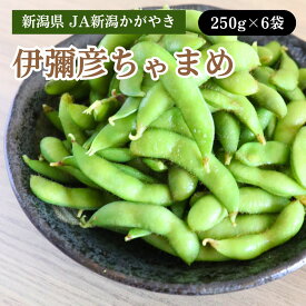 新潟県 JA新潟かがやき 伊彌彦ちゃまめ 250g×6袋 7月下旬発送開始