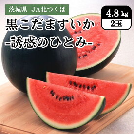 茨城県 JA北つくば 黒こだますいか（誘惑のひとみ）4.8kg(2玉）7月中旬発送開始
