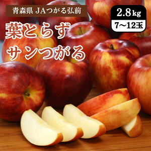 X JAOO tƂ炸T 2.8kgi7`12ʁj 9{Jn
