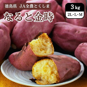  ȂƋ 3kg JAS_Ƃ 10{Jn