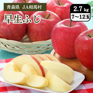 X ӂ 2.7kgi7`12ʁj JAn 10{Jn