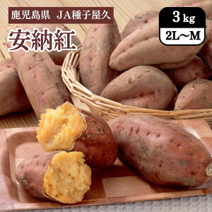  [g 3kg JAqv 11{Jn