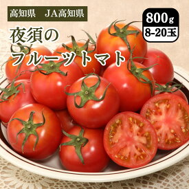高知県 JA高知県 夜須（やす）のフルーツトマト 800g（8～20玉）1月中旬発送開始