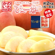 山梨県 JAフルーツ山梨 ぴ～一番 約2kg（6～8玉） 特秀 信玄 お届け時期指定可 7月上旬〜8月上旬お届け …