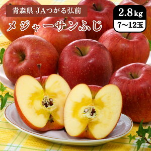 XY W[Tӂ 2.8kgi7`12ʁj JAOO 12{Jn