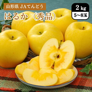 R` ͂邩iGij 2kgi5`8ʁj JAĂǂ 11{Jn