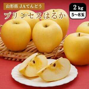 R` vZX͂邩 2kgi5`8ʁj JAĂǂ 11{Jn