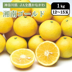 神奈川県 湘南ゴールド 1kg（12～15玉） JA全農かながわ 3月上旬発送開始